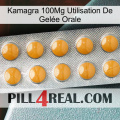 Kamagra 100Mg Utilisation De Gelée Orale levitra1